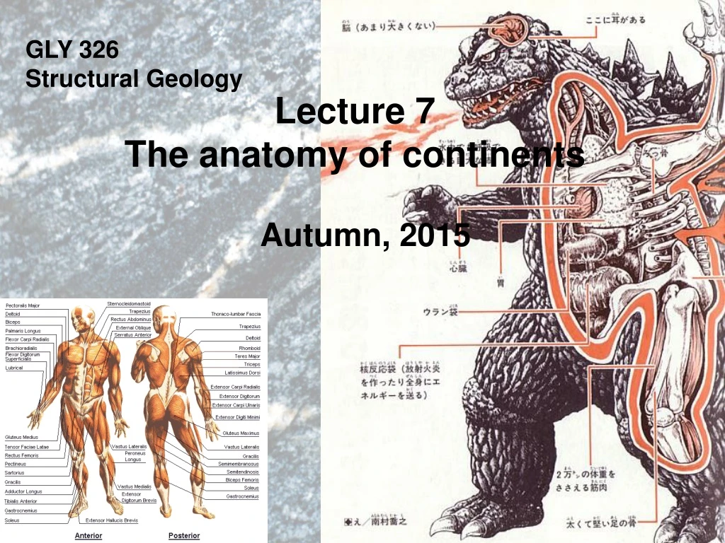 gly 326 structural geology