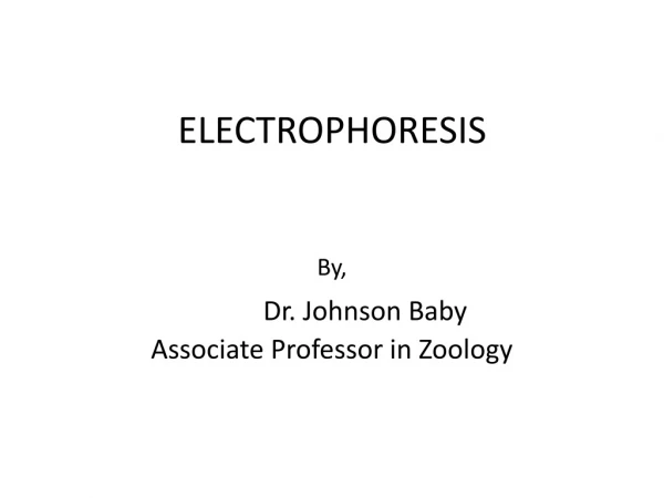 ELECTROPHORESIS By, Dr. Johnson Baby Associate Professor in Zoology