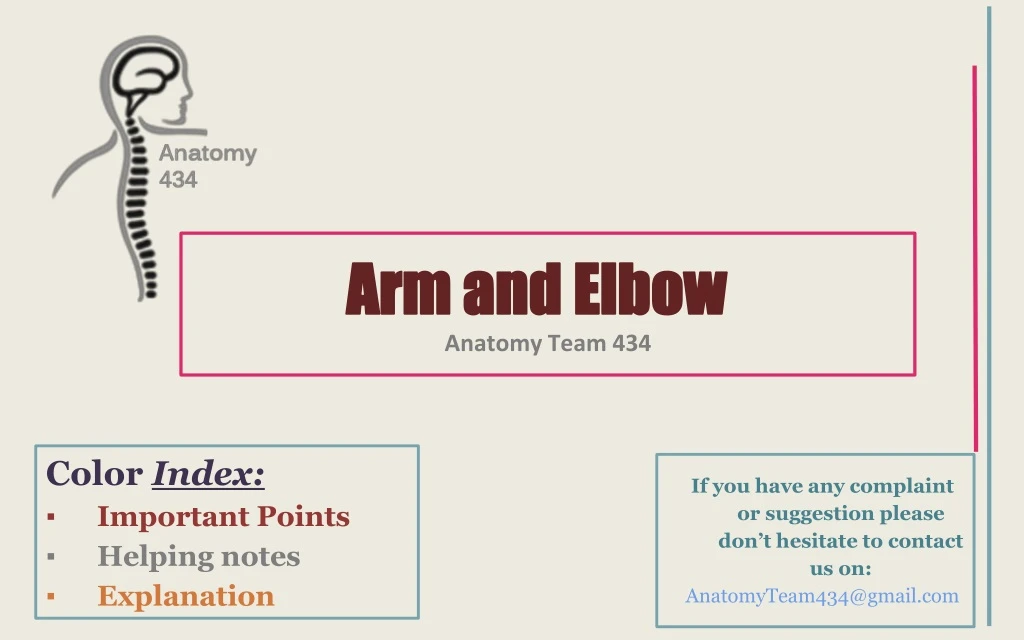arm and elbow anatomy team 434