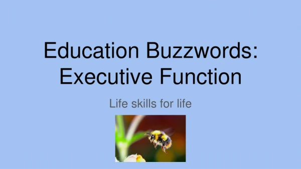 Education Buzzwords: Executive Function