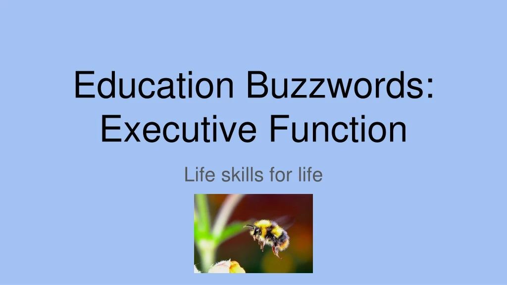 education buzzwords executive function