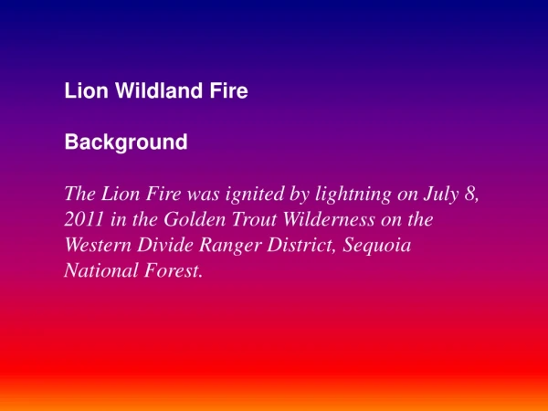 Lion Wildland Fire Background
