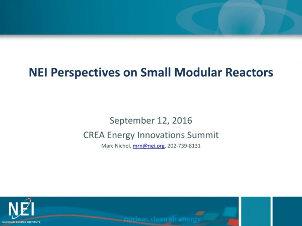 NEI Perspectives on Small Modular Reactors