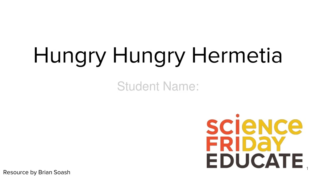 hungry hungry hermetia