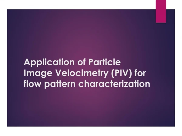 Application of Particle Image Velocimetry (PIV) for flow pattern characterization