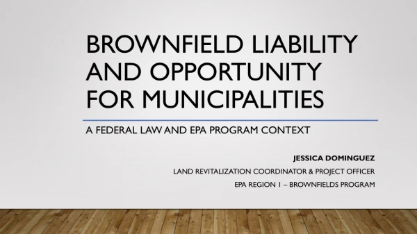 Brownfield Liability and Opportunity for Municipalities