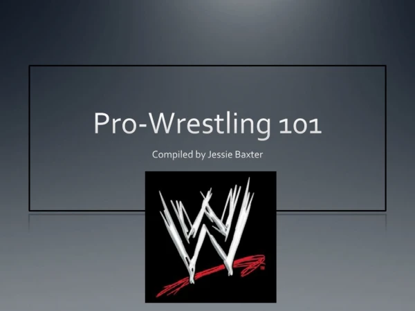 Pro-Wrestling 101