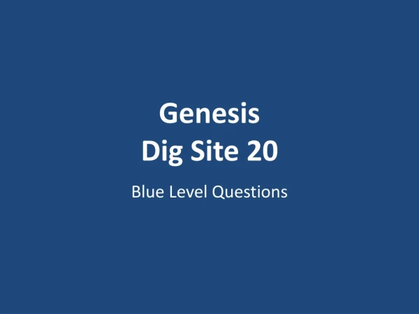 Genesis Dig Site 20