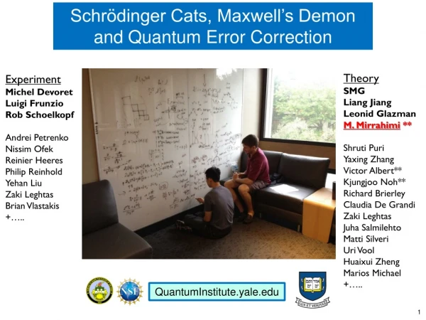 Schrödinger Cats, Maxwell’s Demon and Quantum Error Correction