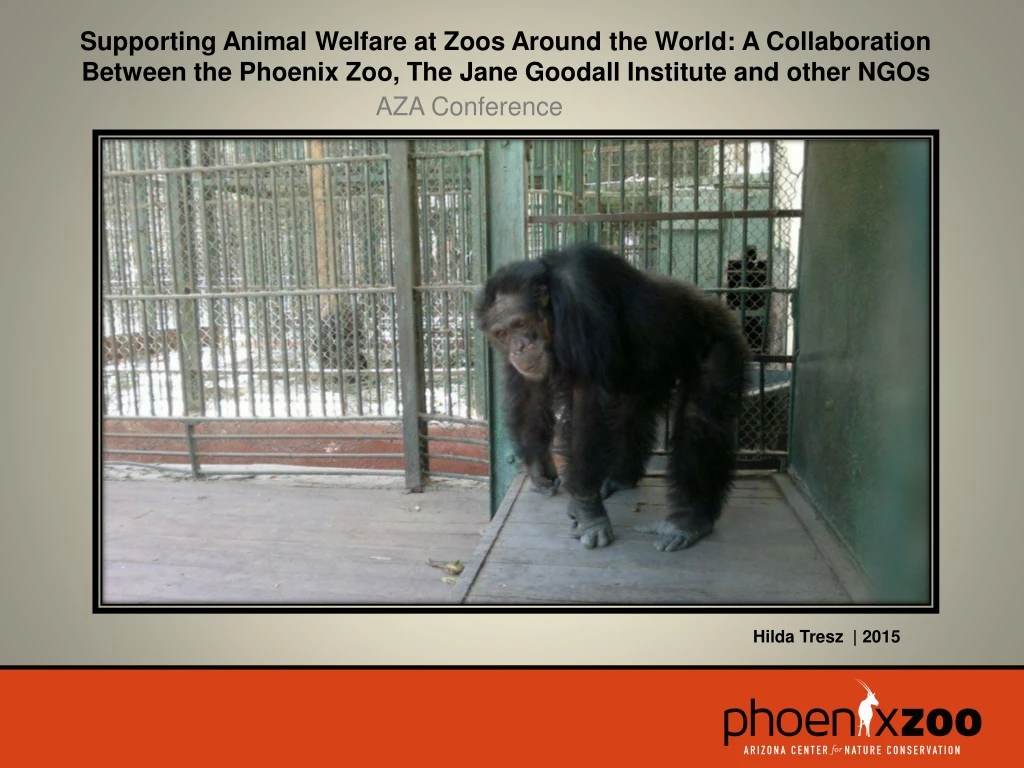 supporting animal welfare at zoos around