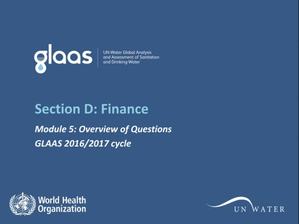 Section D: Finance