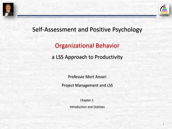 Self-Assessment and Positive Psychology Organizational Behavior a LSS Approach to Productivity