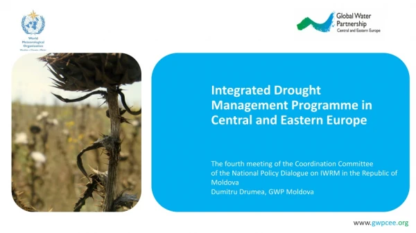 Integrated Drought Management Programme in Central and Eastern Europe