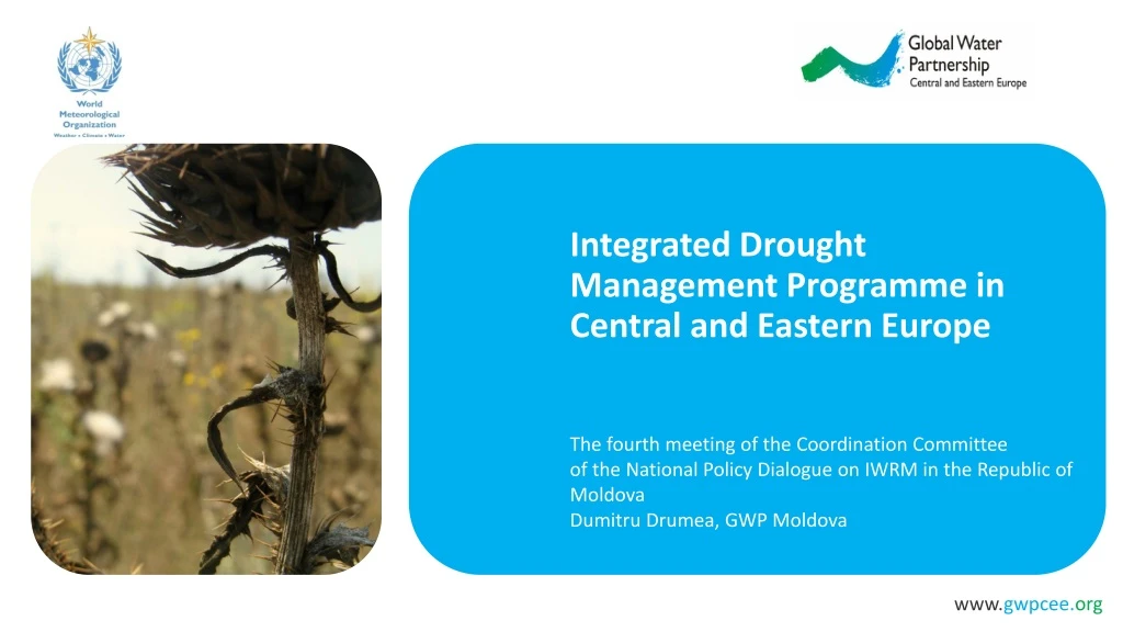 integrated drought management programme
