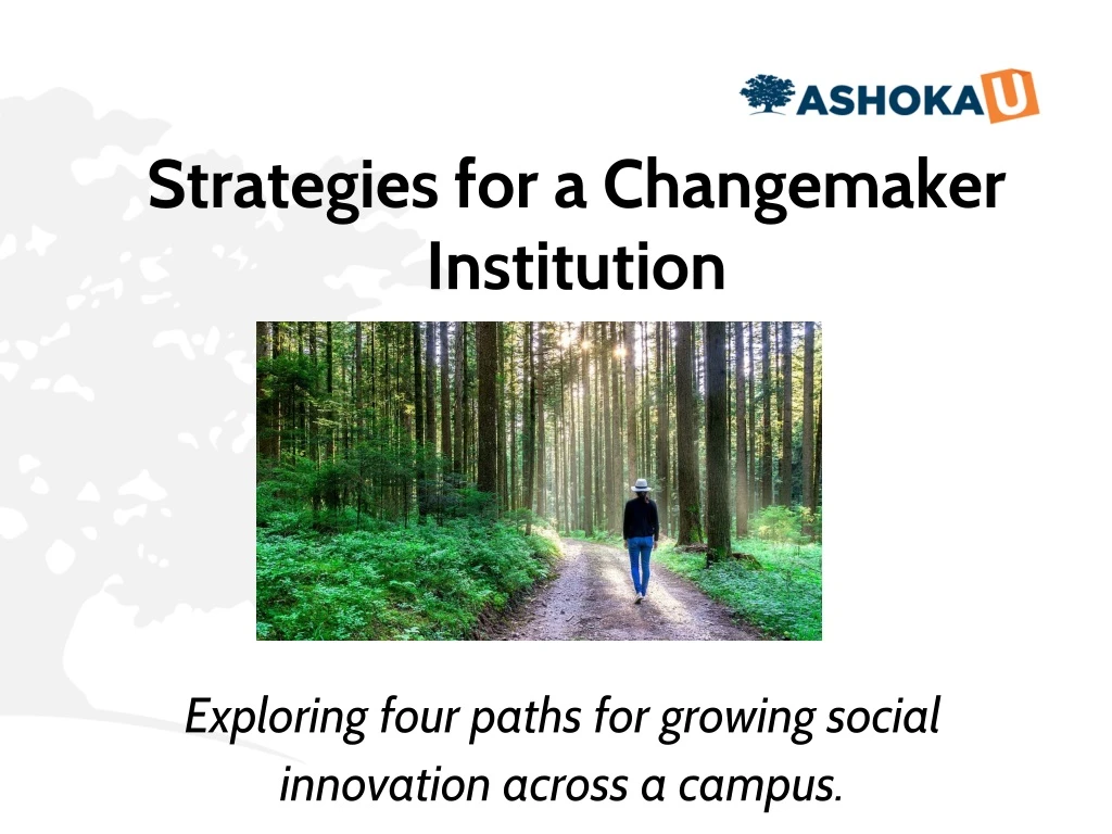 strategies for a changemaker institution