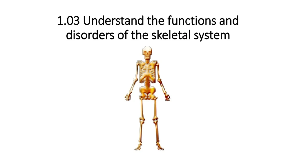 1 03 understand the functions and disorders of the skeletal system