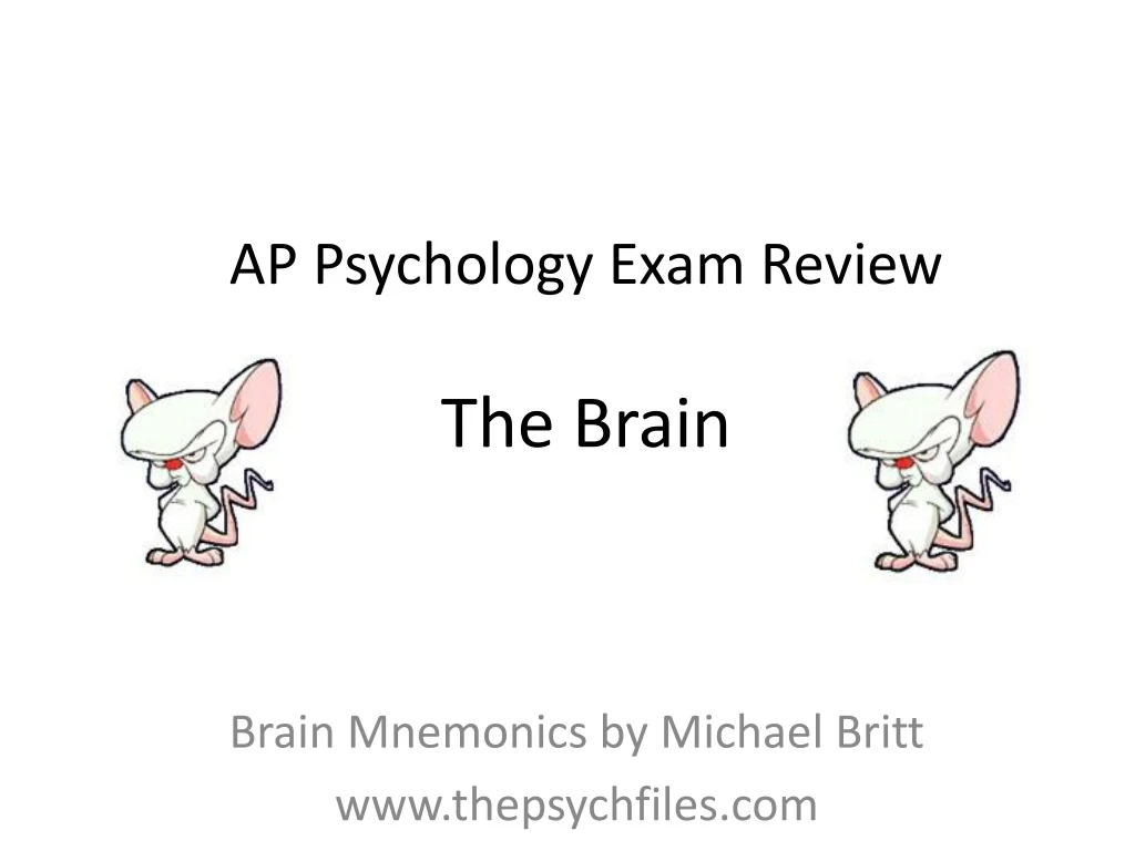 ap psychology exam review the brain