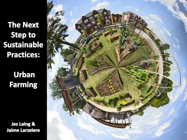 The Next Step to Sustainable Practices: Urban Farming