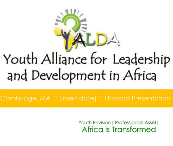 Youth Envision | Professionals Assist | Africa is Transformed