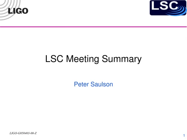 LSC Meeting Summary