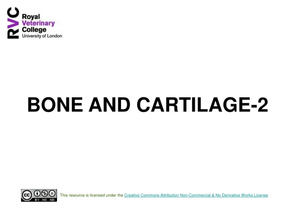 BONE AND CARTILAGE-2
