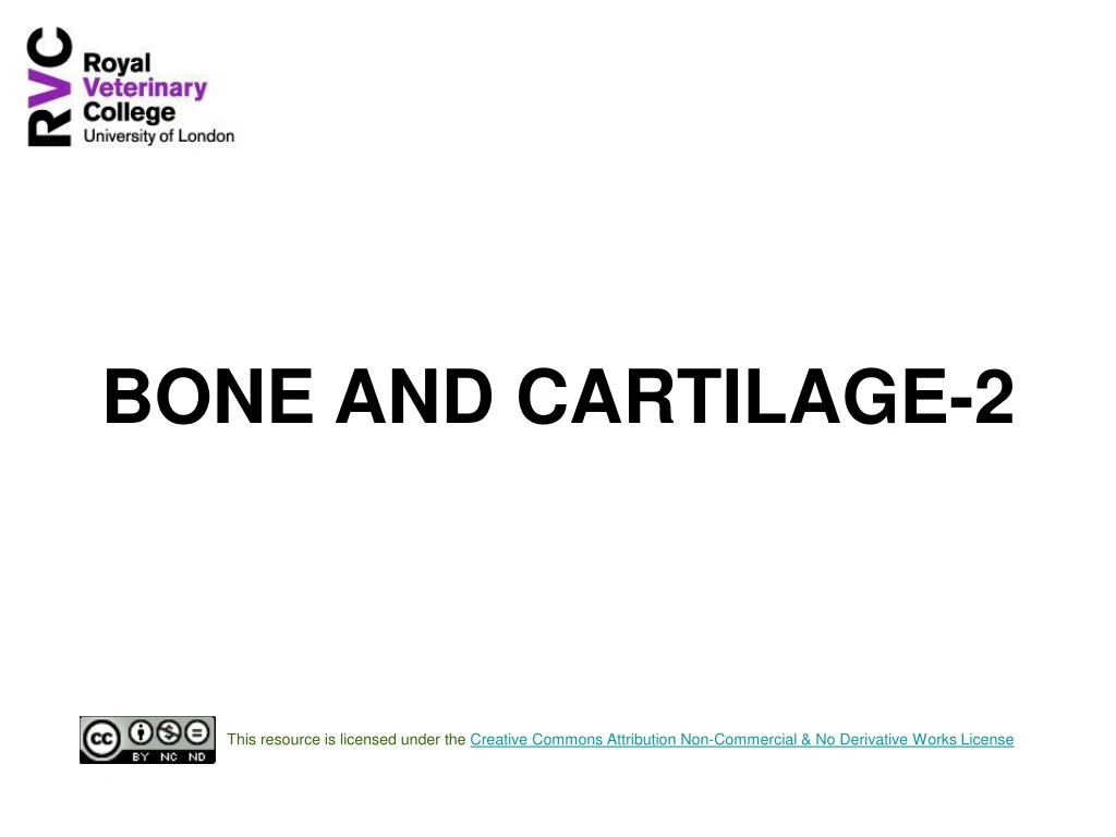 bone and cartilage 2