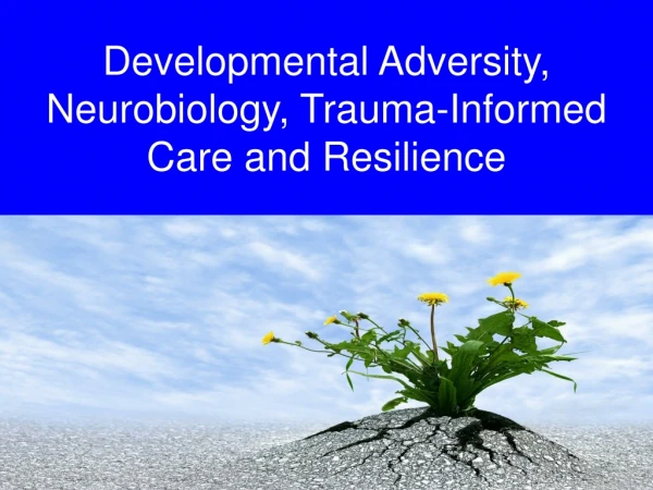 Developmental Adversity, Neurobiology, Trauma-Informed Care and Resilience