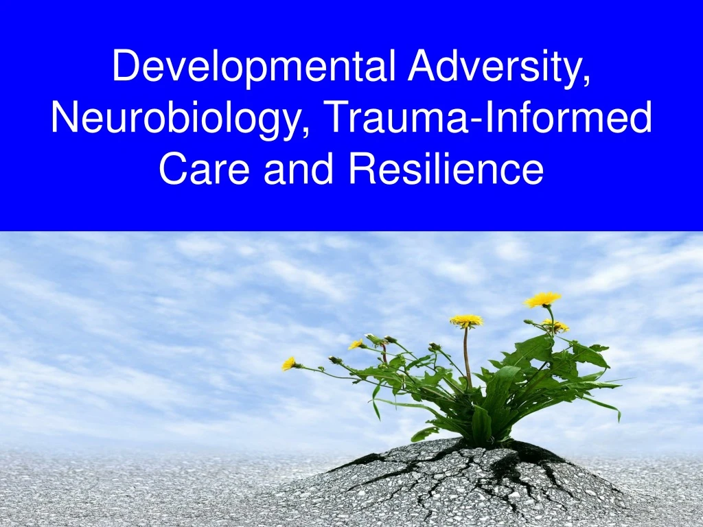 developmental adversity neurobiology trauma informed care and resilience