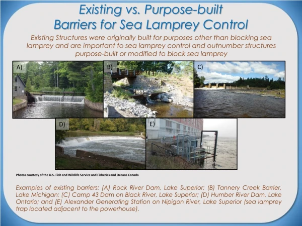 Existing vs. Purpose-built Barriers for Sea Lamprey Control