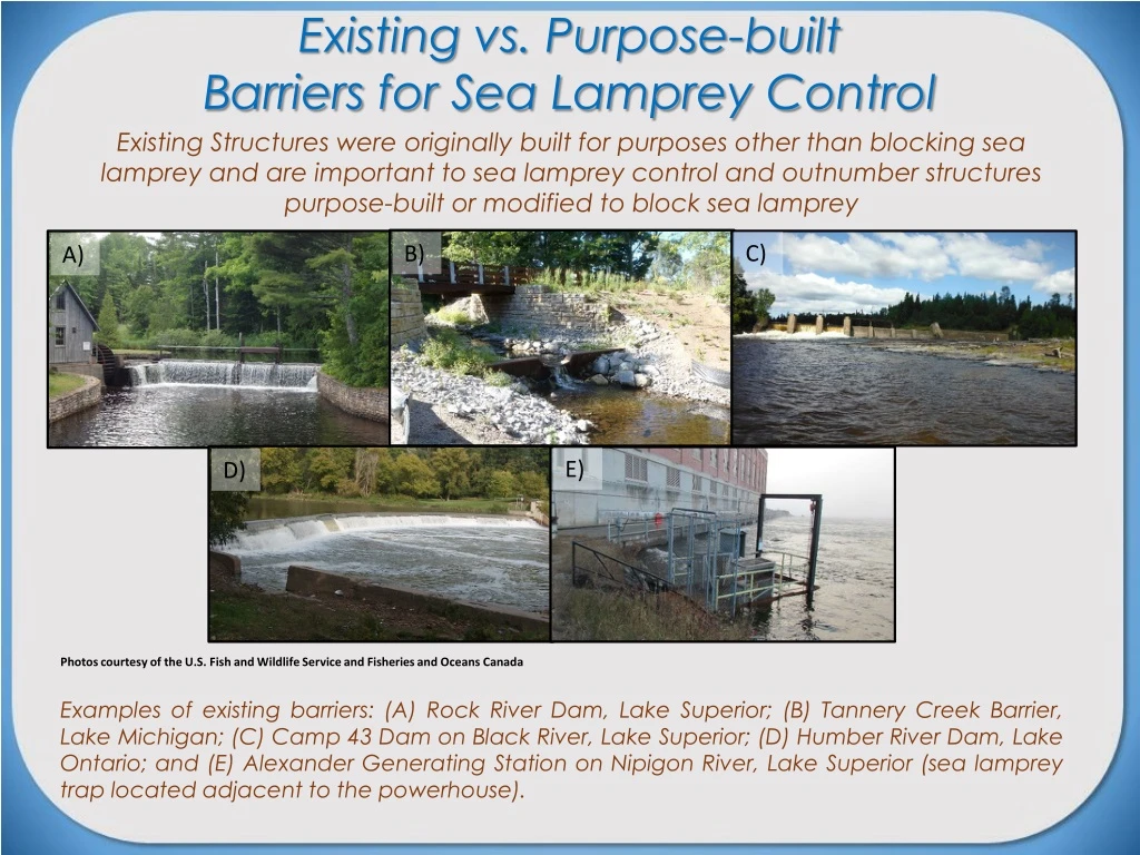 existing vs purpose built barriers