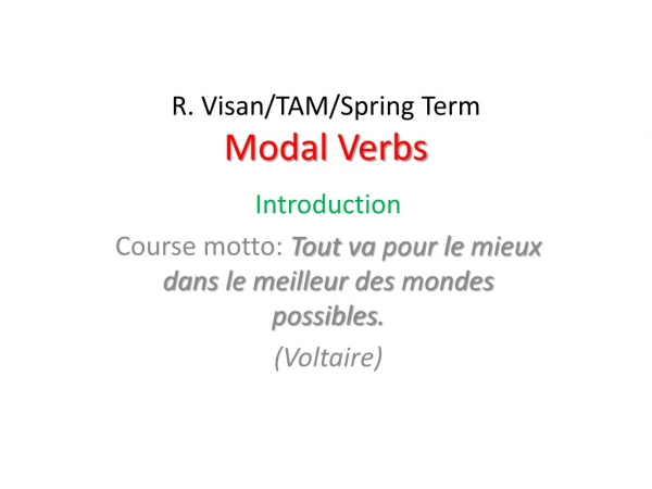 R. Visan /TAM/Spring Term Modal Verbs