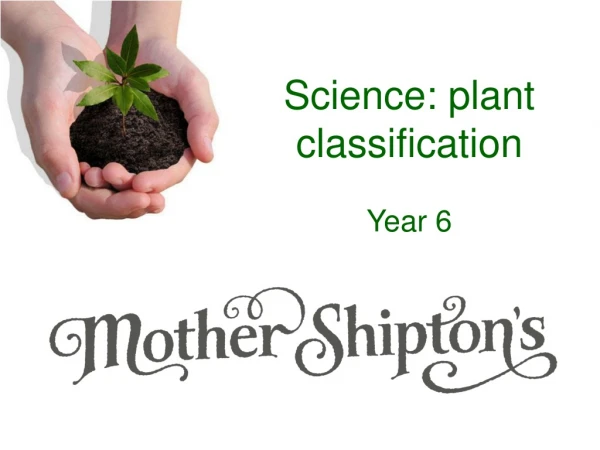 Science: plant classification Year 6