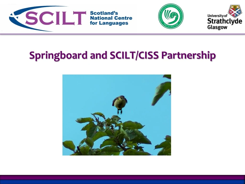 springboard and scilt ciss partnership