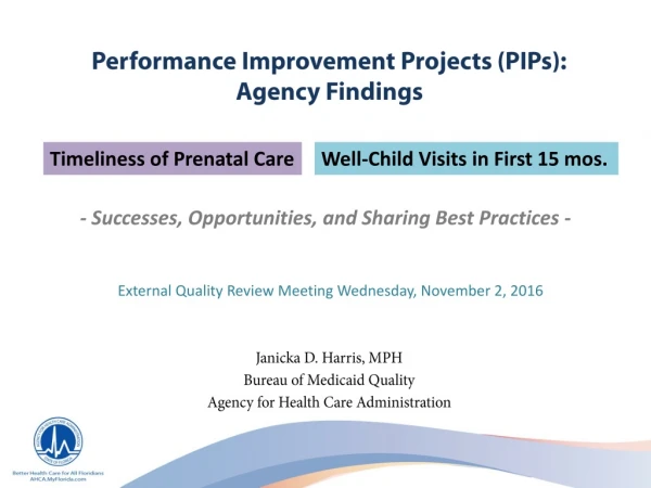 Performance Improvement Projects (PIPs): Agency Findings