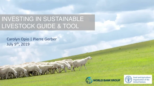 INVESTING IN SUSTAINABLE LIVESTOCK GUIDE &amp; TOOL