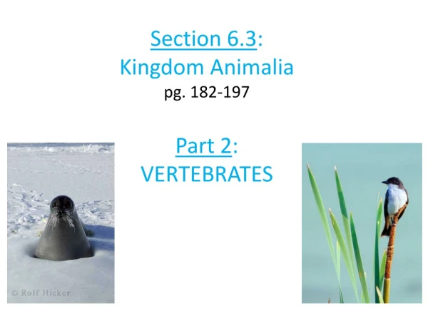 Section 6.3 : Kingdom Animalia pg. 182-197 Part 2 : VERTEBRATES