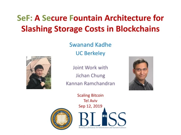 SeF : A Se cure F ountain Architecture for Slashing Storage Costs in Blockchains