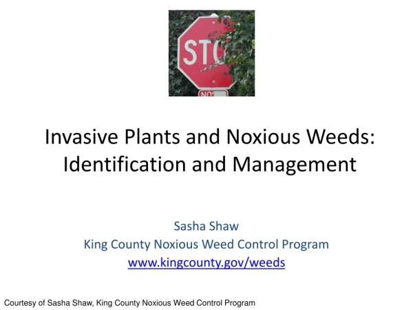 Invasive Plants and Noxious Weeds: Identification and Management