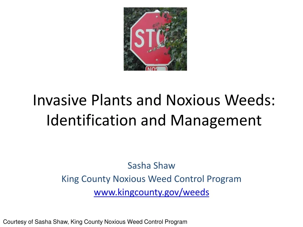 invasive plants and noxious weeds identification and management