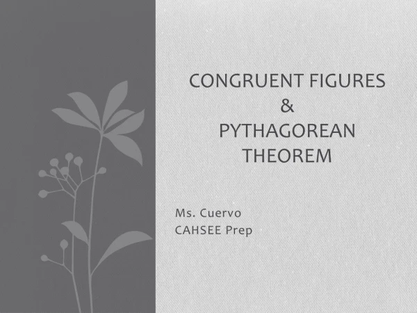 Congruent Figures &amp; Pythagorean theorem