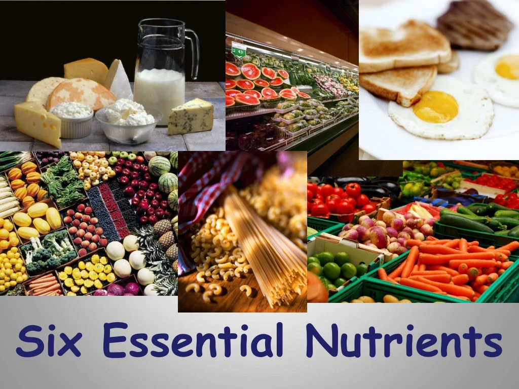 six essential nutrients