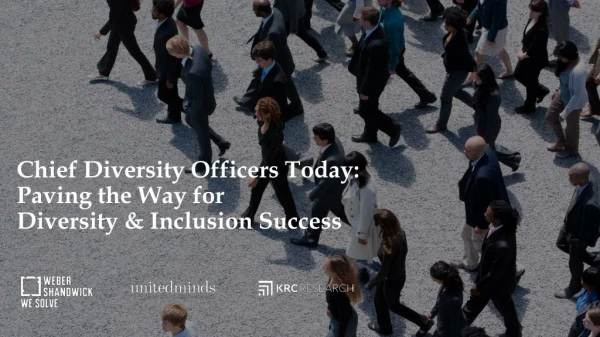 Chief Diversity Officers Today: Paving the Way for Diversity &amp; Inclusion Success