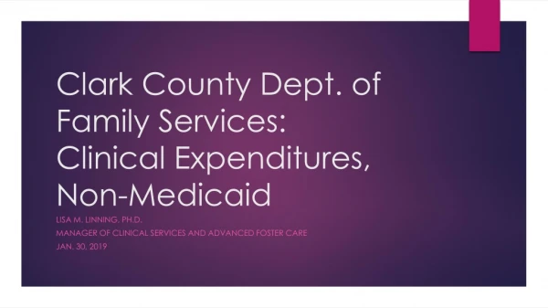 Clark County Dept. of Family Services: Clinical Expenditures, Non-Medicaid