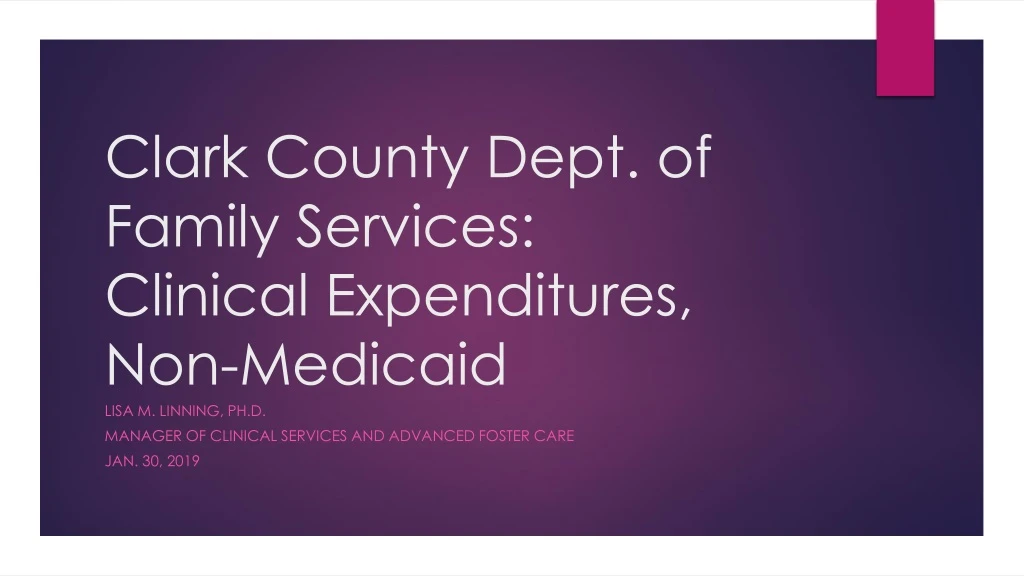 clark county dept of family services clinical expenditures non medicaid