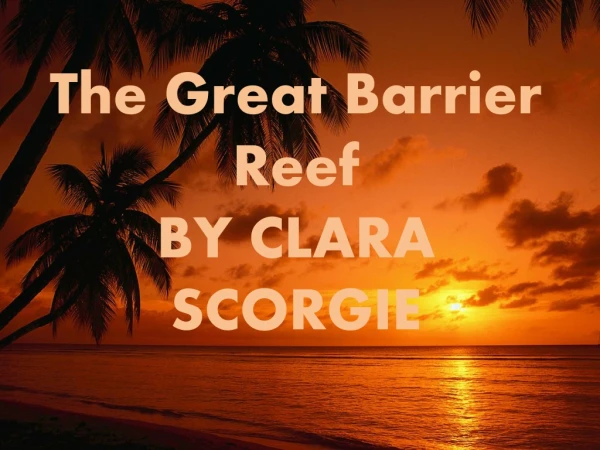 The Great Barrier Reef BY CLARA SCORGIE