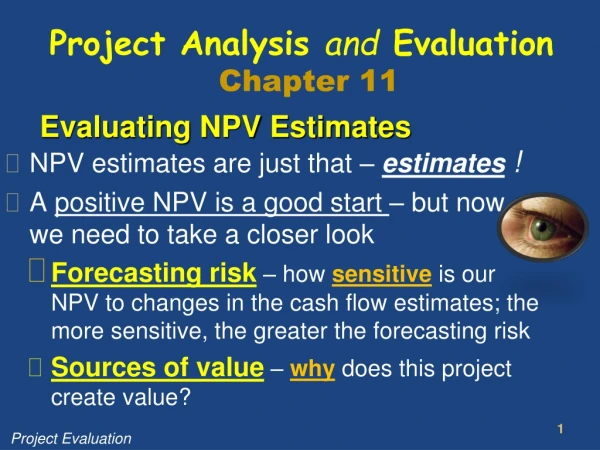 Evaluating NPV Estimates