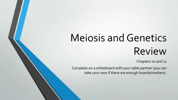 Meiosis and Genetics Review