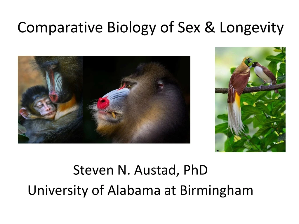 comparative biology of sex longevity