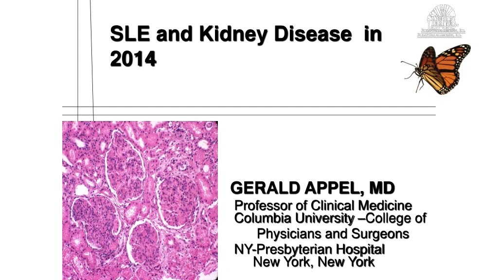 sle and kidney disease in 2014 gerald appel