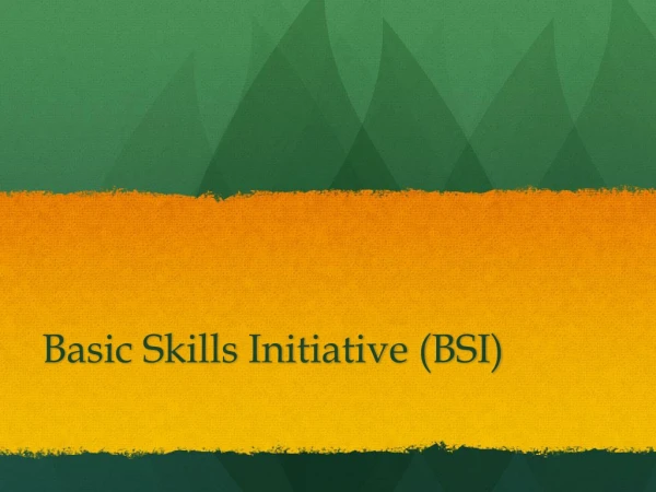 Basic Skills Initiative (BSI)